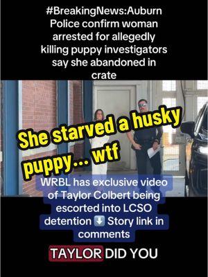 #stitch with @Elizabeth White what has this world come to. People are losing their mind. Animal cruelty needs harsher punishment. A fine isn’t enough. How about enduring what they put the animals thru… #animals #fithuskydad #huskies #siberianhusky #siberianhuskies #husky #huskypuppy #huskylife #dogsoftiktok #dogsoftiktokviral #dogslivesmatter #animalslivesmatter 