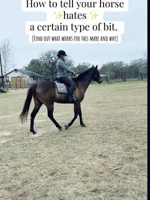 Troubleshooting bits, their reaction, and why. The difference is night and day between what she likes and what she doesn’t. I hope you find this video useful in your own journey to find out what your horse prefers! #horsebit #horsebits #bit #waterford #happytongue #bomberbits #bridle #horsetraining #horsetrainer #usea #eventing #dressage 