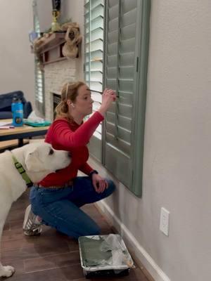 Tucker approved! 👌🏻 I’ve been putting off doing final touch ups on these shutters… every once in a while a project will take so much out of you, and this was one of them for me. But, alas we’re wrapping up these touch ups to share more soon!  Much like sweet Tucker, who had earned his fair share of nicknames like Tucker the Tornado, this was just a project that seemed to be a bit cursed. Took a million times longer than I expected, full of obstacles, but like Tucker, it’s worth the effort! Sometimes you just need a bit of distance to appreciate it! In the case of Tucker, he’s so cute it’s tough to stay mad, even when he’s chewing up power cords or destroying the garden. 🙄 So- stay tuned for so much content on these coming soon. So many hours of footage to edit but some really great information if you’re planning a shutter project! Hopefully I’ll take final shots of this soon, and will have that to share too!  #shutters #labradorsofinstagram #labrador #whitelab #dogmom #womeninconstruction #womeninwoodworking 