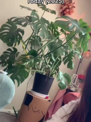 I just ordered supports for her, shes getting BIG 🥲 #onthisday #PlantTok #monstera #rescueplant 