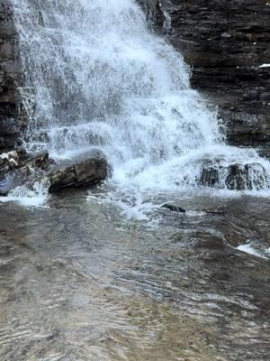 #boardtreefalls #tennessee #easttn #waterfall #tennesseecheck #fypシ #waterfalls #waterfallwednesday#tn  #viral? #Hiking #viralvideo #viralllllll #viraltiktok #viral_video #hikingtok 