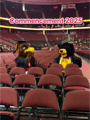 Commencement went by with a flap of my wing 🦅 Congratulations Class of 2025! Once a Red Hawk, always a Red Hawk💯  #commencement #classof2025 #montclairstateuniversity #mascots 