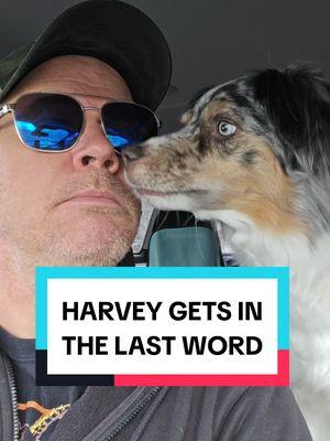 HARVEY GETS HIS LAST LICKS IN! #harvey #ibelieveinharvey #dog #pupper #goodboy #bestestboy #fyp 