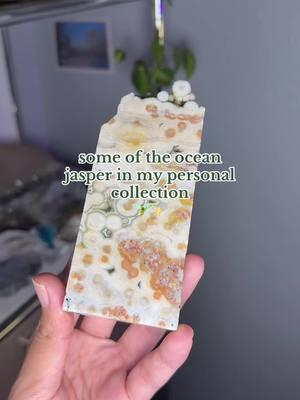 can you name the veins? 🤩🫶 #oceanjasper #crystals #minerals #crystalshop #crystaltok #crystaltiktok #SmallBusiness #fypシ 