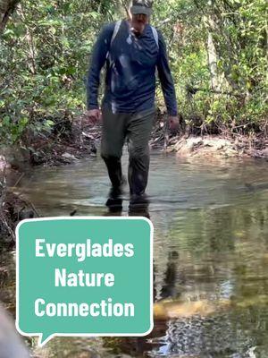 Want to find healing and wellness in nature but not sure how, so you go on a hike but its not too magical? Maybe this Guided Nature Connection in the beautiful Everglades can help you. Find the full 20-minute experience on my YouTube channel. #kessiworld #natureconnection #natureconnect #mystictiktok #naturetiktok 