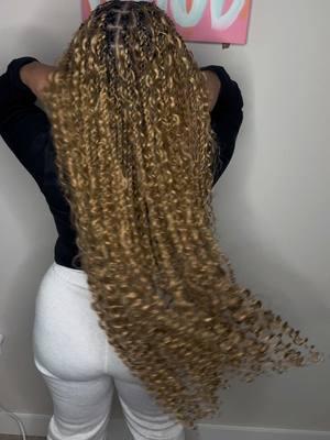 Color 27/30 Island Twists  Link in bio to book  #islandtwistshouston #bohotwists #bohotwistshouston #sibbyoflife #therhairpist #houstonbohogoddessbraids #houstonbohobraids 