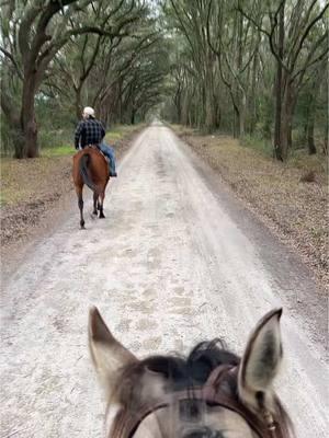 Let’s race #horse #riding #western #saddle #galloping #horseriding #westernriding #trails #fl #saddleseat #leather #country #countrylife #farm #farmlife 