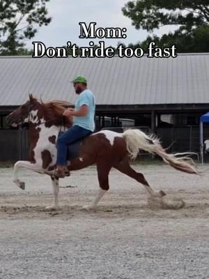 #Meme #MemeCut #memenatal #fast #staillion #semiprofessionalracecardriver #fyp #horse #rackinghorse 