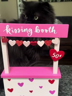 Kisses from Wynn? 💋 #cat #catsoftiktok #fluffycat #blackcatsoftiktok #persiancatsoftiktok #persiancat #wynnthepersian 