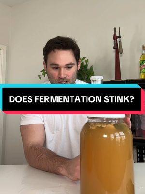 Does fermentation stink?  #mead #meadtok #homebrewing #fermentation 