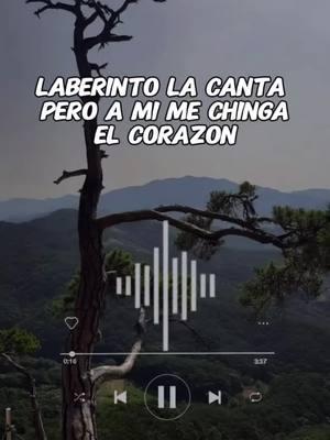 #laberinto #grupolaberinto #viejitasperobonitas #desamor #oldsong #fyp #tik #tok 