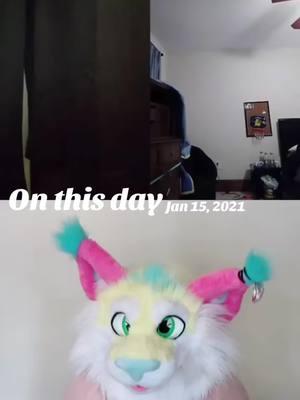 Oldie but a goodie!  #furryfandom #furrytiktokers #fursuit #fursuitersoftiktok #furrysafeplace #onthisday 