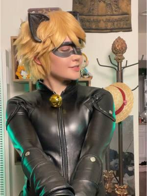 Trying to post all my content for my 15 seconds of fame before the ban 😩 #catnoir #catnoircosplay #miraculousladybug #chatnoir #chatnoircosplay #miraculousladybugcosplay #mlbcosplay 