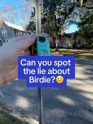 The lie will SHOCK you! #BirdieAlarm #SafetyAlarm #SpotTheLie #SafetyFirst #SelfDefense  