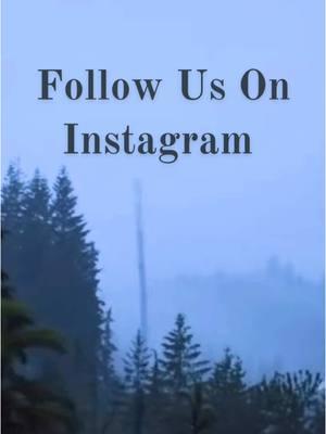 Temporada Co will live on Instagram until we find an alternative platform.  IG is not ideal, but will serve as an in between. We will make announcements on there as to where you can find us next.  See you there! 🌲 Dominique #nostalgia #escapism #BookTok #hygge #natureathome #naturelovers #forkswashington #treelover #forestlovers #rainlovers #pdx 