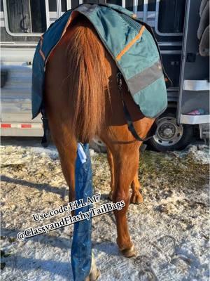 Cash had his own 7s too😻 #fyp#foryoupage#trend#viral#barrelracer#montana#tailbags#bemer#horsetack#rodeo#rodeohorses#fyp