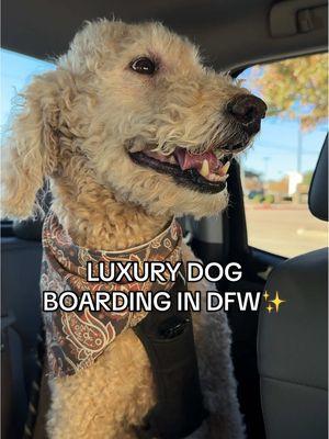 I don’t trust a lot of people with my baby, but K9 Resorts didn’t disappoint. Check them out if you’re in need of a reliable sitter!  #dallas #dallasdogs #dogboarding #plano #k9resorts 