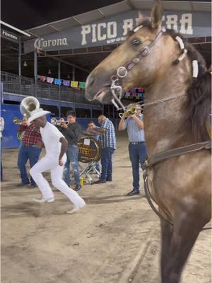 Just a man and a horse 🐴 🕺🏾 #baile #caballo #chocolateuno 