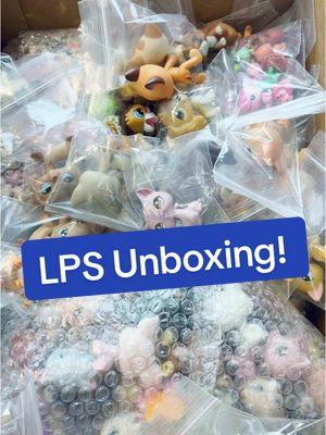 Unboxing our latest LPS! #lps #lpstiktok #lpsfyp #littlestpetshop #lpscommunity #lpsunboxing 