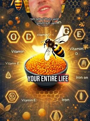 #creatorsearchinsights #besttestsupplement #bestsupplementsforwomen #beebread #beepollen #bestsupplement 