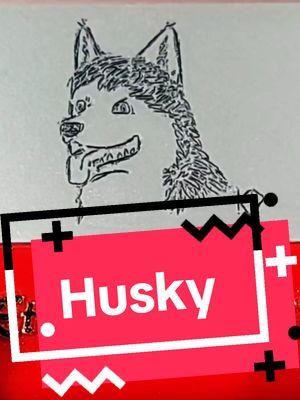 A Husky #husky #huskylife #huskysoftiktok #huskypuppy #dog #dogs #puppy #puppylove #puppydog #puppies #animals #animal #🐶 #🐕 #etchasketch #etcheverywhere #etchasketchart #etchartist #fyp #fypシ #foryou #foryourpage #viral #art #tiktokartists #arttiktok #myart #tiktokartist @Spin Master @Creatorverse 