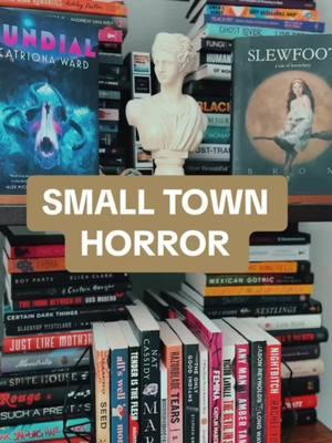 #onthisday small town horror! #madisoncanread #smalltownhorror #horrorbooktok #horrorbooks #spookybooks 