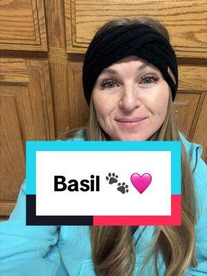 Basil is such a cool dog. 🩷🩷 Loved working with your family today! 🫶🏻  #animalpsychic #psychicmedium #energy #NicolesGotSole #NicoleyJ #reiki #Love #angel #spirit 