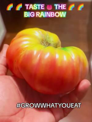 Big Rainbow 🌈🌈🌈 #alive #growwhatyoueat #fyp #gardening #bakercreekseeds 