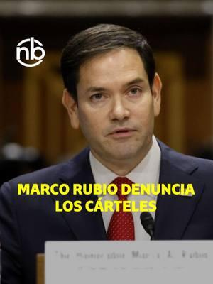 Marco Rubio, nominado por Trump a Secretario de Estado, denuncia el poder que tienen los cárteles en México, y la amenaza que representan para EEUU y México. #nb #Marcorubio #eeuuu #México