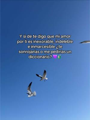 Ame esta foto 🥰 #Amor #Romántico #FrasesDeAmor #PalabrasBonitas #DiccionarioDelAmor #Inexorable #Indeleble #Inmarcesible #TikTokLatino #ContenidoViral #ParaTi #FYP #CoupleGoals #LenguajeBonito #Amor 