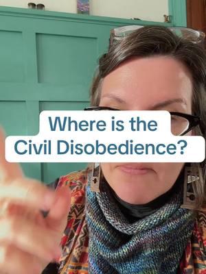 #france #civildisobedience #firstamendment #freespeech #protest #thisisamerica #freedom #nonviolence #resist #whereareyou #whatarewedoing #passive #participate ##fypage