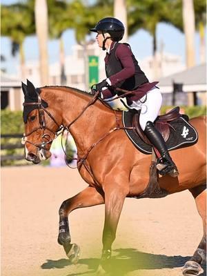 Week 2️⃣ LET’S GO ! #wellington #wef #horsetok #equestriansrelate #horseshowstyle #euphoricequestrian #horsegirl #equestriansoftiktok #horsesofinstagram #equestrian (📸 @mianbakerr )