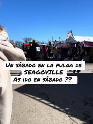 #lapulgadeseagoville #parati #viral #LIVETips 