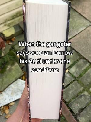 The gangster’s conditions 🔥 Crooked Paradise by Eva Chance & Harlow King #darkromance #reverseharembooks #enemiestoloverstrope #mafiaromance #morallygrey #gangromance #spicybook 