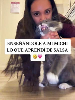 Odia que lo bese 😆  #salsa #michi #cat #gato #badbunny #baileinolvidable #bailandosalsa #aprendiendo #nosebailar #funny 