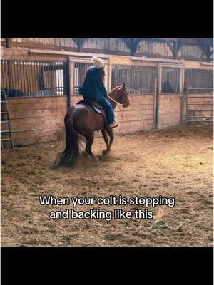 And this was his 6th ride. After like a month off. ♥️ #coltstarting #startingcolts #horsetraining #traininghorses #barrelprospect #prospect #studprospect #stallion 