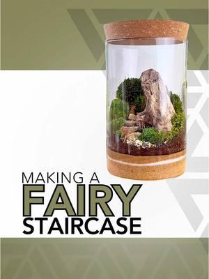 Fairy staircase terrarium 🧚 🌱  #terrarium #plants #moss #tutorial #howto #DIY 