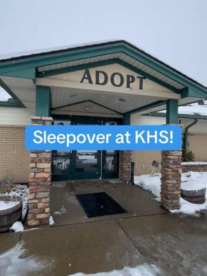 Check out all the fun our staff members had during their “snow day sleepover” last weekend!❄️💙 Lots of playtime in the snow with our shelter pups, a delicious dinner, and some evening puppy snuggles. 🐶🤗THANK YOU to our staff members for keeping our shelter pets happy and healthy during the snowstorm.👏🥰 #kyhumane #staff #thankyou #trending #fyp #snow #dogsoftiktok #shelterdog #kyhumane #sleepover 