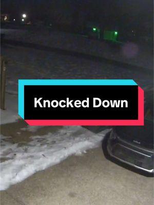 Knocked Down in 1, 2 and 3!!! #knockeddown #garbageday #runsinthefamily #googlenest #kentucky #snowstorm #chumbawamba #igetknockeddown #funny 