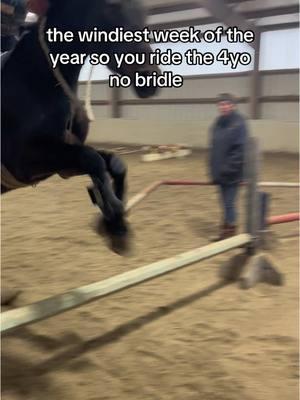 it’s one way to stop unecessary pulling 🤣 #horsesoftiktok #horses #equestrian #equestriangirls #horsegirl #hunterjumper #equestrianstylecheck   