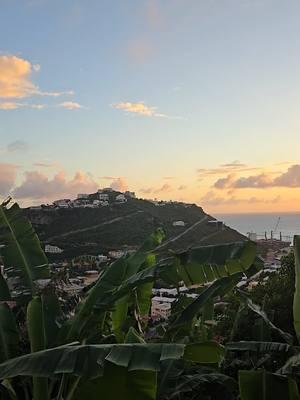 Island sounds in Sint Maarten! 🏝 #explorewithcassie #cassiehepler #stmaarten #stmartin #caribbean #sxmstrong #sxmlife #travelblogs #islandlife #caribbeantiktok #caribbeantiktokeurs #pointblanche #sintmaarten  #sintmaarten🇸🇽 #birdsnest 