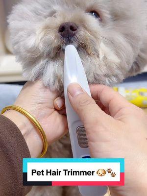 Pet Hair Trimmer 🐶🐾 #pethairremoval #shedding #dogproducts #dogs 