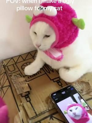 Pov: when I make a ugly pillow for my cat #customizedcatpillow #uglycatpillow #copycatplush #catplush #funnycatplush #funnycatplush #customcatplush #funnyvideotiktok #uglypillow #uglypluh #funnypets 