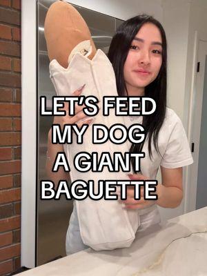 Let’s feed my child a giant baguette🥖💅 #dogenrichement #dogtoy #dogfeeding 