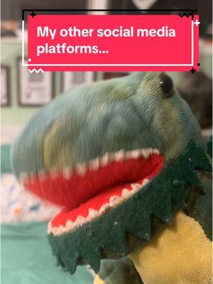 If TikTok does get banned, follow my other platforms on Instagram, Bluesky, and YouTube. #riptiktok #goodbyetiktok #terrothetrex #prehistoric #jurassic #dinosaur #jurassicpark #dinosaursofinstagram #dinosaursoftiktok #whendinosaursruledtheearth #fyp 