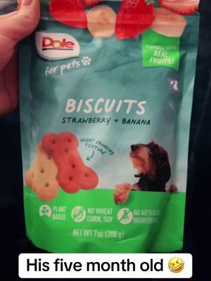 Dole Going Bananas Dog Biscuits Bundle - Banana, Strawberry, Spinach, Pumpkin Fruit & Veggie Dog Treats #TikTokShop #dogtreat #lovepet #dogmom #dogbiscuits #doletreats #veggiedog 🐕🦮🐩🐕‍🦺🐶🦴🐾