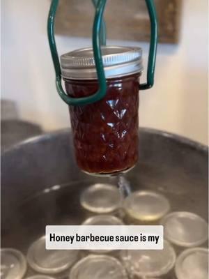 Canned Honey Barbecue Sauce This is our favorite bbq sauce to keep on hand— even better to have it canned on our shelf! You’re also welcome to make this and just store in the fridge if you prefer not to can it… it’s a show stopper! 3 cups ketchup 3 cups honey 2 cups white vinegar 6 tbsp molasses 6 tsp dry mustard 5 tsp garlic powder 5 tsp onion powder 4 tsp smoked paprika Cayenne pepper to taste— start with 1 tsp. optional if you want spicy) 3 tsp salt 2 tsp black pepper  Combine everything in a bowl and stir together well. Pour into 1/2 pint jars at 1/2 inch headspace and water bath can for 20 mins. Allow 24 hrs to seal on the counter and then take the rings off and store on your shelf! Enjoy! I love @forjarsusa lids for canning— I’ve never had a seal fail🫡 #canuary #canning #waterbathcanning