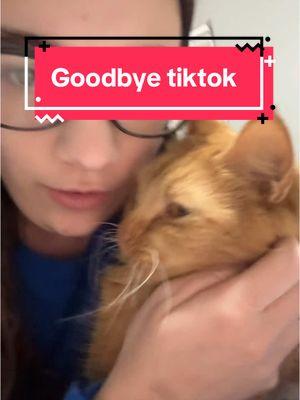 Thanks for the ride❤️  #catsoftiktok #cat #cats #orangecat #rednote #timtokban 