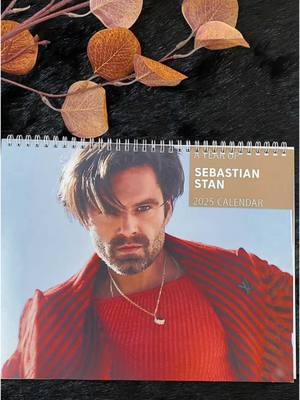 #buckybarnes #buckybarnespov #buckybarnesstories #buckybarnesedit #wintersoldier #wintersoldieredit #thewintersoldier #sebastianstan #sebastianstanedit #sebastianstansupremacy #captainamerica #mcu #avengers #steverogers #2025 #calendar 