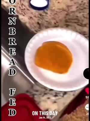 #onthisday #cornbread #fed #tiktok #fyp #viral #comady 